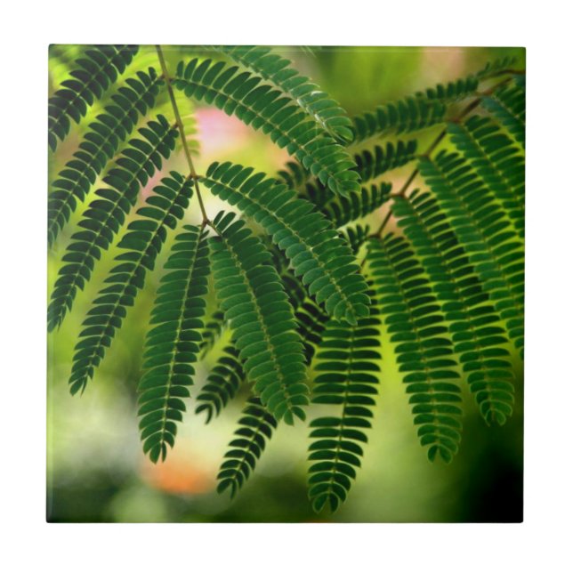 Grüne Blätter Keramik Tile Fliese (Vorderseite)