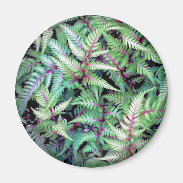 GRÜNE BLÄTTER, LILA SCHRITTE DER Tasse SHARON SHAR Magnet (Vorne)