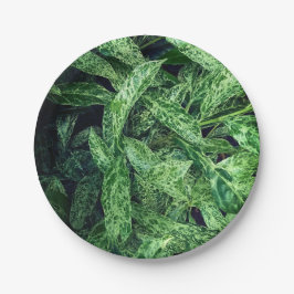 Grüne Blätter Pappteller