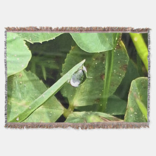 Grüne Blätter Rumänien - Botanische Blätterwandkun Decke