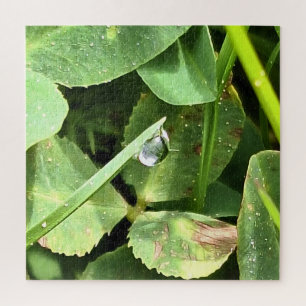 Grüne Blätter Rumänien - Botanische Blätterwandkun Puzzle