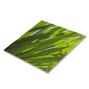 Grüne Blätter, Sonnenlicht und blauer Himmel Fliese
