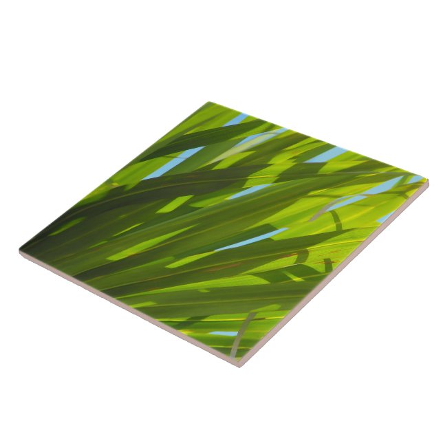 Grüne Blätter, Sonnenlicht und blauer Himmel Fliese (Seite)