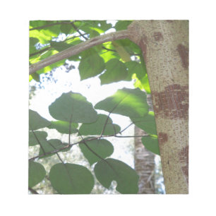 grüne Blätter und Baumstamm mit cooler Rinde Notizblock