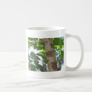 grüne Blätter und Baumstamm mit cooler Rinde Tasse
