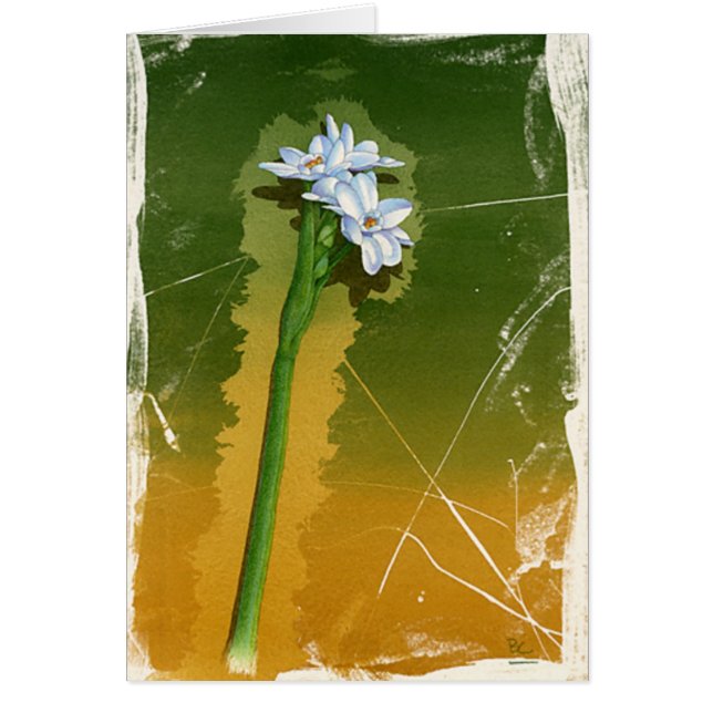 Grüne Blume (Vorne)