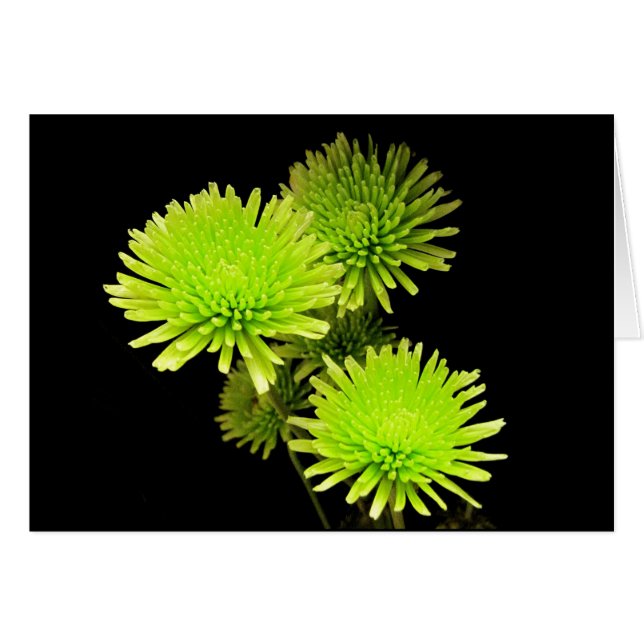 Grüne Blume (Vorderseite (Horizontal))