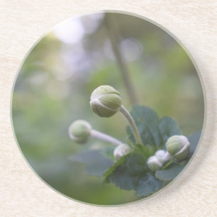 Grüne Blume Bud Garden Naturfotografie Florenz Sandstein Untersetzer