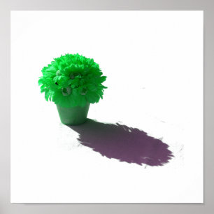 Grüne Blume Weißeisen und Schatten Poster