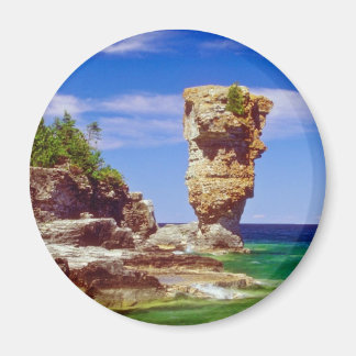 Grüne Blumentopf Insel, Tobermory, Ontario Blume Magnet