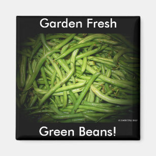 Grüne Bohnen in Spotlight Magnet