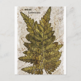 Grüne Botanische Ferns tropische Vorlage Postkarte