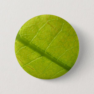 Grüne Botanische Naturfotografie Button