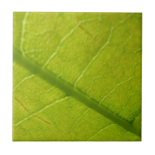 Grüne Botanische Naturfotografie Fliese