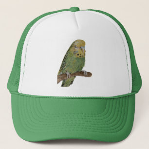 grüne budgie Kunstkappe Truckerkappe