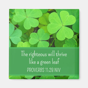 Grüne Clovers Foto Wohlstand Bibel Verse Niedlich Magnet