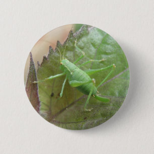 Grüne Cricket auf einem linken Knopf Button