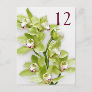 Grüne Cymbidium Orchid Blumenkarten Postkarte
