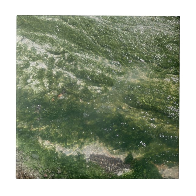 Grüne Dekorationstafel Fliese (Vorderseite)