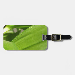 Grüne Dendrobium Orchid-Pflanze geschlossen Gepäckanhänger