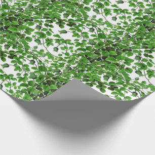 Grüne Efeu-Rebe botanisch Geschenkpapier
