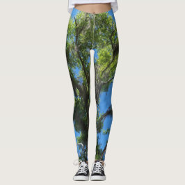 Grüne Eiche und blauer Himmel auf Leggings