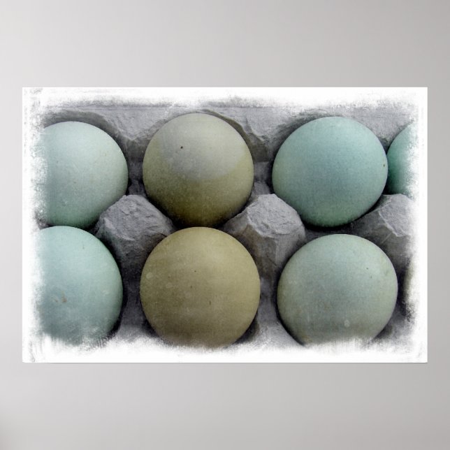 Grüne Eier Poster (Vorne)