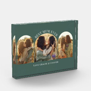 Grüne, elegante Arschvielte Foto