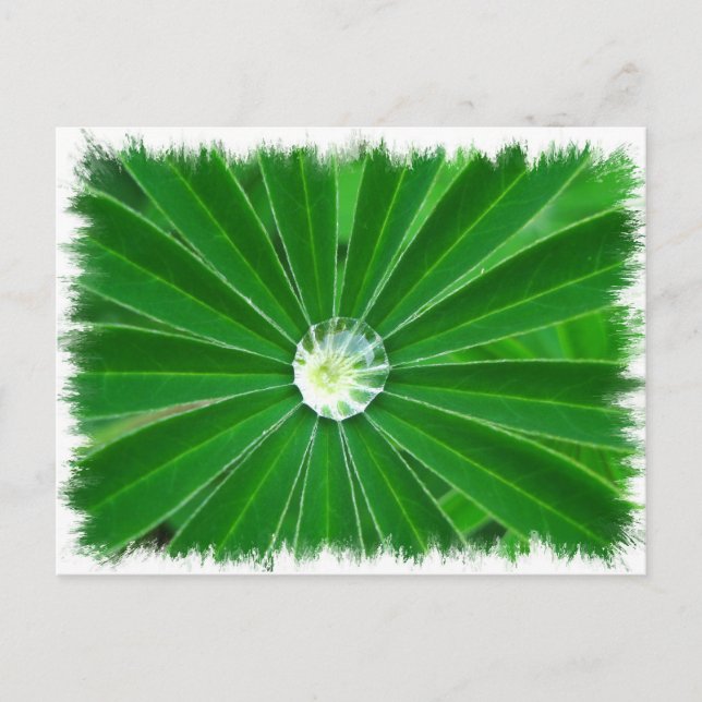 Grüne Energie Postkarte (Vorderseite)