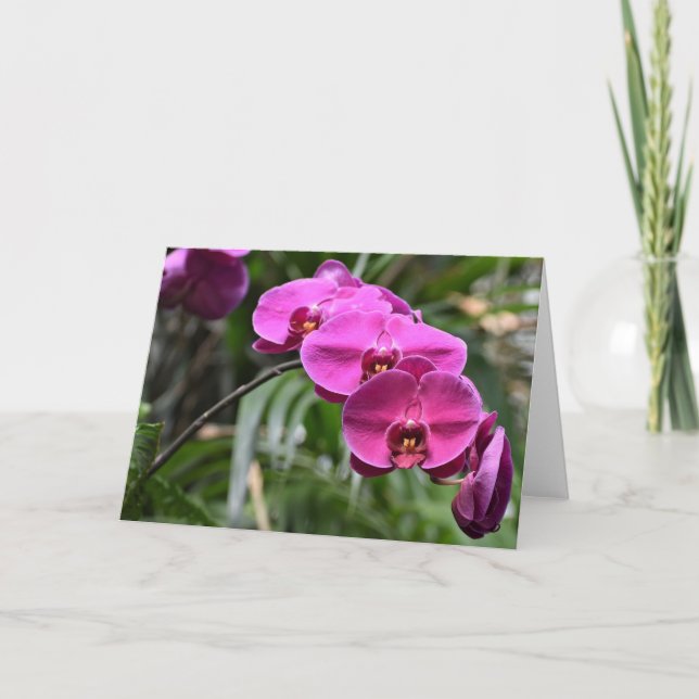 Grüne Erde, Karte (Vorderseite)