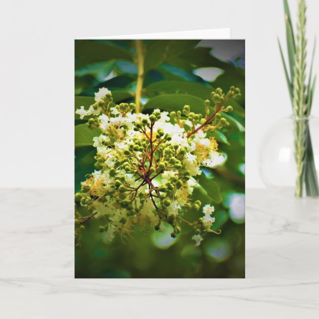 Grüne Erde, Karte (Vorderseite)