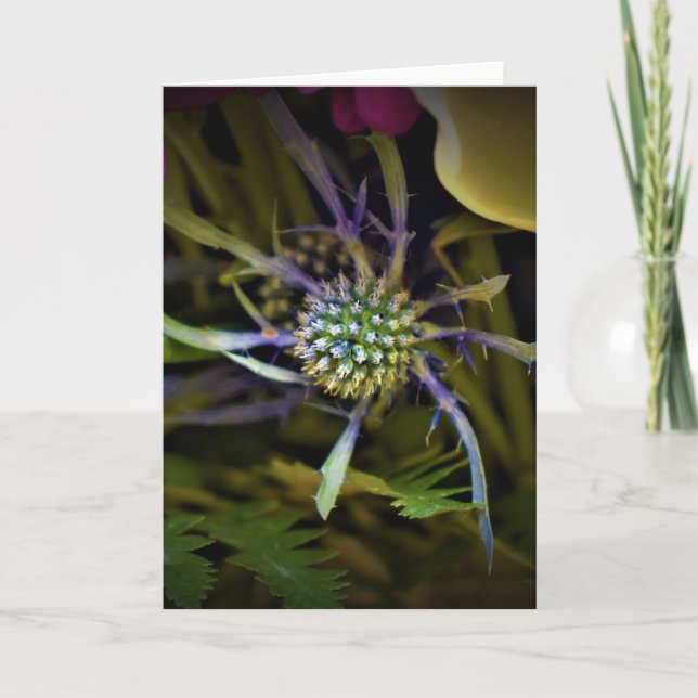 Grüne Erde, Karte (Vorderseite)