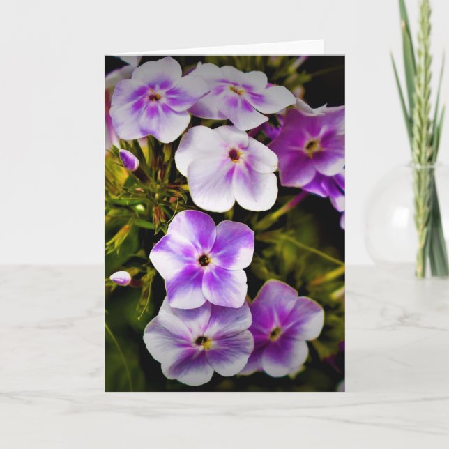 Grüne Erde, Karte (Vorderseite)