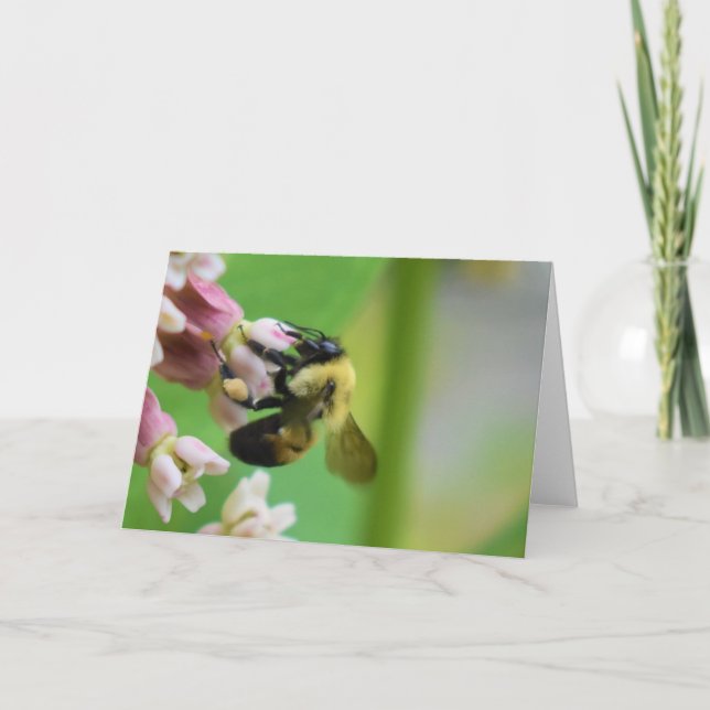 Grüne Erde Karte (Vorderseite)