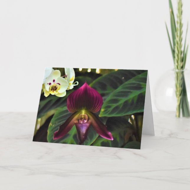 Grüne Erde, Karte (Vorderseite)