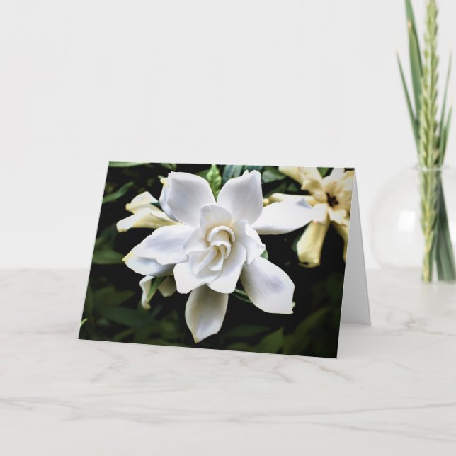 Grüne Erde Karte (Vorderseite)