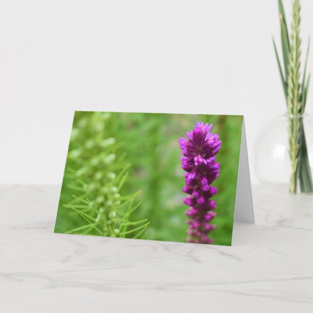 Grüne Erde Karte (Vorderseite)