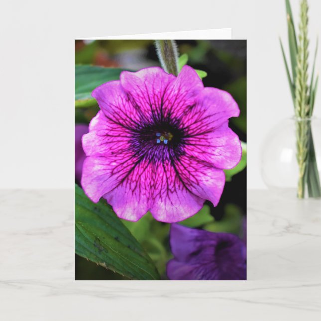 Grüne Erde, Karte (Vorderseite)