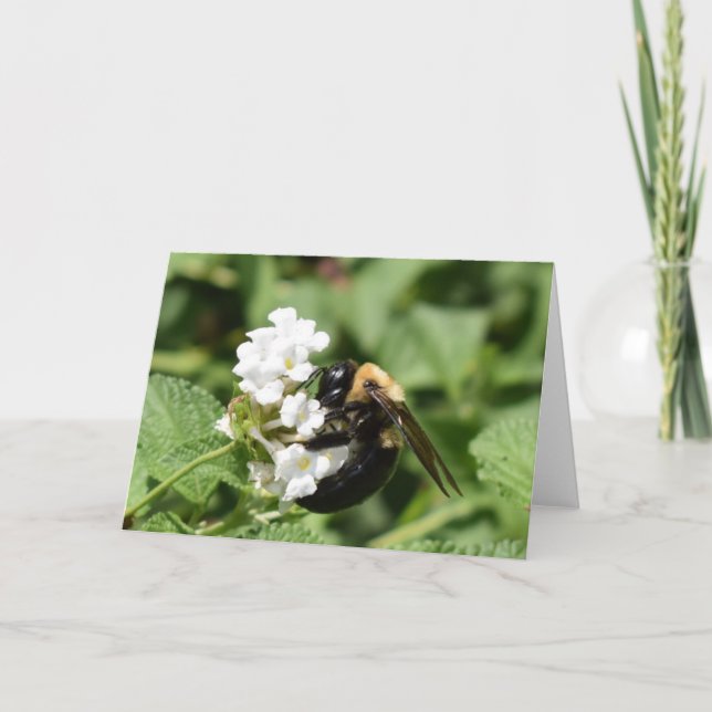 Grüne Erde Karte (Vorderseite)