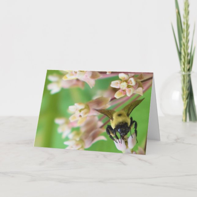 Grüne Erde Karte (Vorderseite)