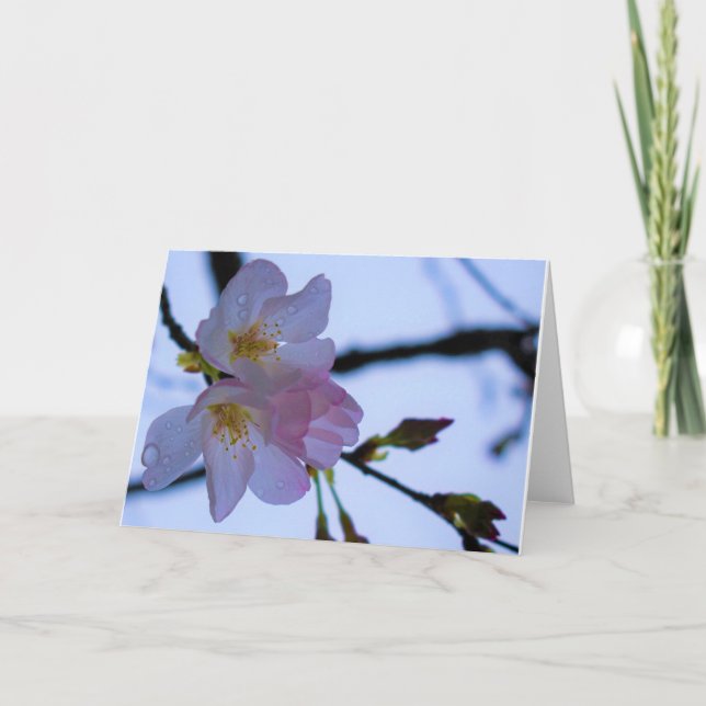 Grüne Erde Karte (Vorderseite)