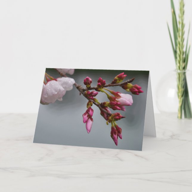 Grüne Erde Karte (Vorderseite)