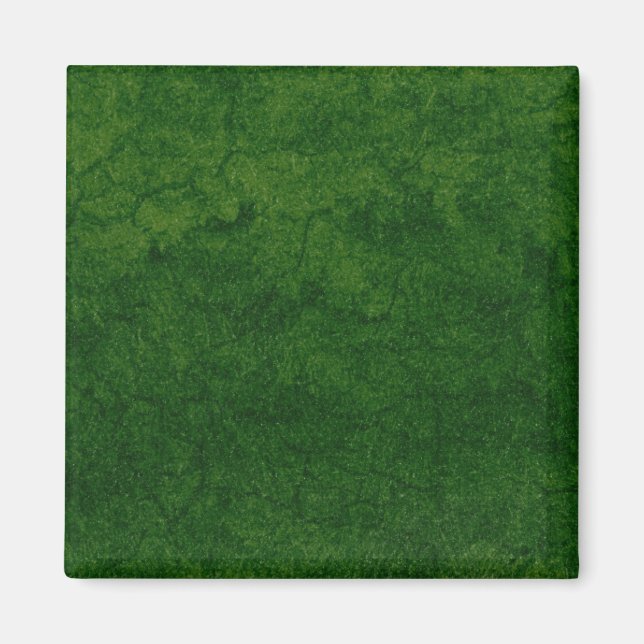 Grüne Erde Magnet (Vorne)