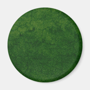 Grüne Erde Magnet