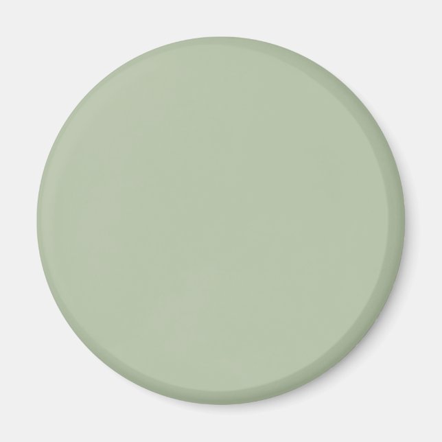 Grüne Farbe der hellen Seite Magnet (Vorne)