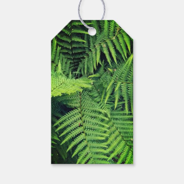 Grüne Farn Geschenkanhänger (Vorderseite)
