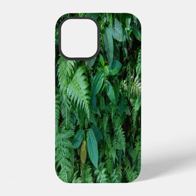 Grüne Farn Gras Laub Textur iPhone Hülle (Rückseite)
