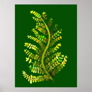 Grüne Farnblatt-Pflanzenkunst Poster