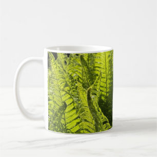 "Grüne Farne und Curling-Fronds" Kaffeetasse