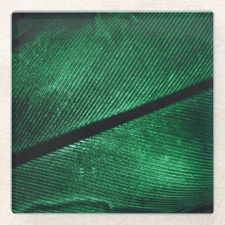 Grüne Feder, schöne Muster Textur. Glasuntersetzer